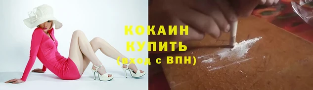 сатива Вязьма