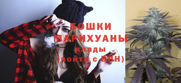 сатива Вязьма