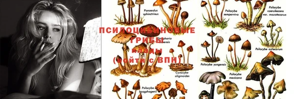 бутират Вяземский